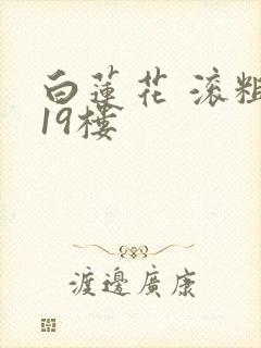 白莲花 滚粗 19楼