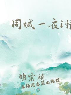 同城一夜i情