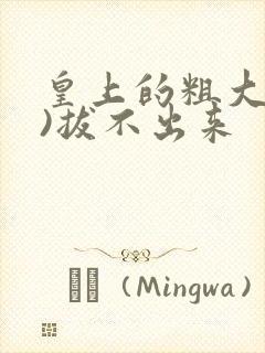 皇上的粗大(h)拔不出来