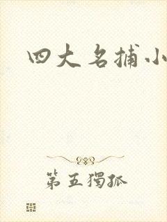 四大名捕小说