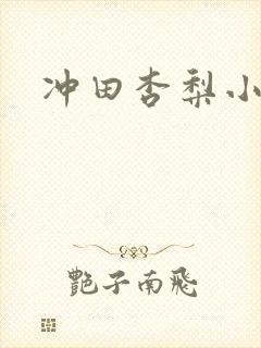 冲田杏梨小说