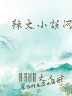 辣文小说网