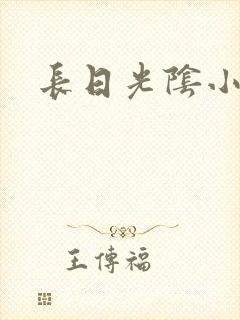 长日光阴小说