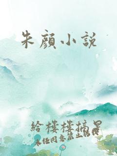 朱颜小说