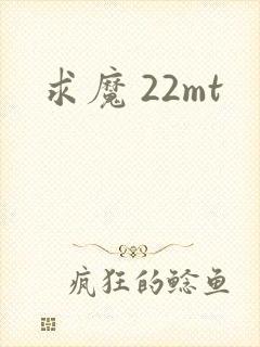 求魔 22mt