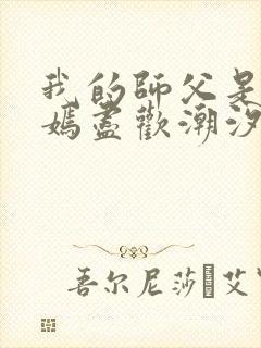 我的师父是王语嫣尽欢潮汐