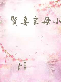 贤妻良母小说