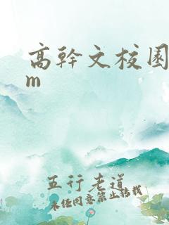 高干文校园bgm