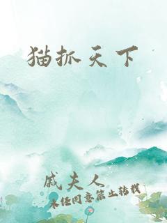 猫抓天下