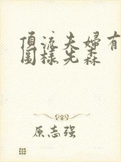 顶流夫妇有点甜图样先森