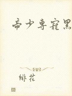 帝少专宠黑道妻