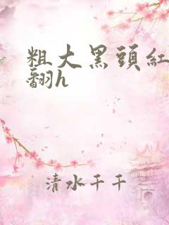 粗大黑头红肿外翻h