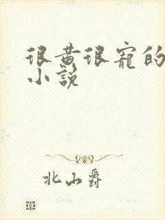 很黄很宠的总裁小说