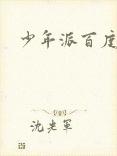 少年派百度百科