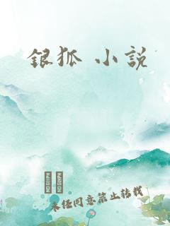 银狐 小说