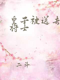 皇子被送去犒劳将士