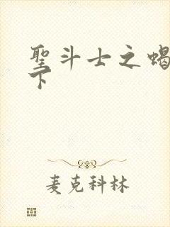 圣斗士之蝎行天下