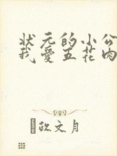 状元的小公主(我爱五花肉)