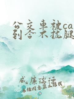 公交车被cao到合不拢腿视频