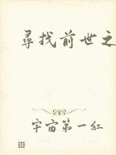 寻找前世之旅4