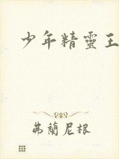 少年精灵王