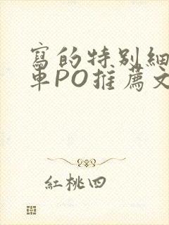 写的特别细的开车PO推荐文多人