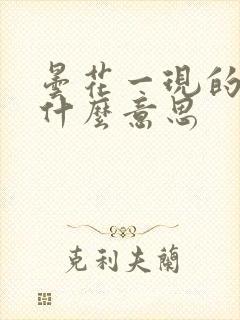 昙花一现的现是什么意思