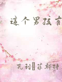 这个男孩有点野