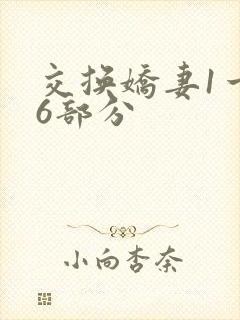 交换娇妻1一36部分