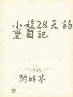 小媛28天的剧变日记