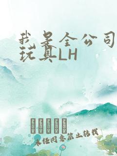我是全公司发泄玩具LH