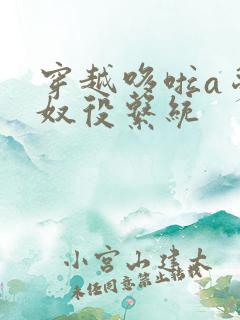 穿越哆啦a梦之奴役系统