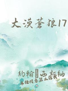 大漠苍狼17
