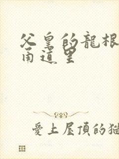 父皇的龙根在我甬道里
