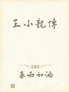 王小龙传