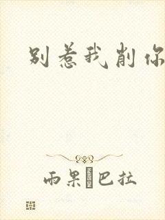 别惹我削你
