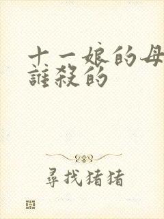十一娘的母亲是谁杀的