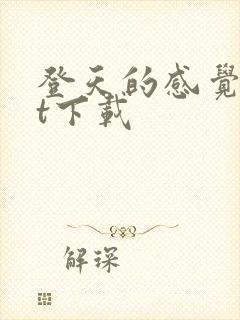 登天的感觉txt下载