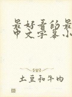 最好看的最新的中文字幕小说