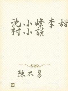 沈小峰李甜的乡村小说