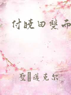 付晓田双面间谍