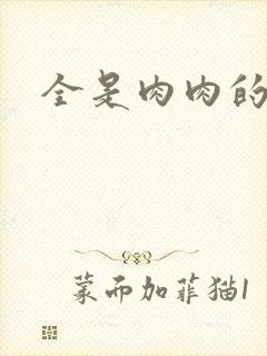 全是肉肉的小说