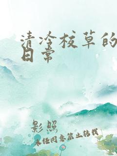 清冷校草的抹布日常