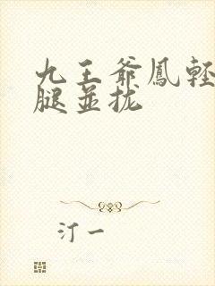 九王爷凤轻尘把腿并拢