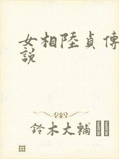 女相陆贞传奇小说