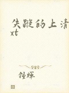 失踪的上清寺txt