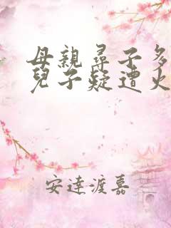 母亲寻子多年 儿子疑遭火车撞击身亡