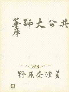 华师大公共数据库