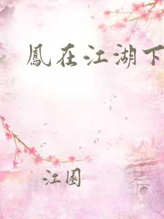 凤在江湖下载