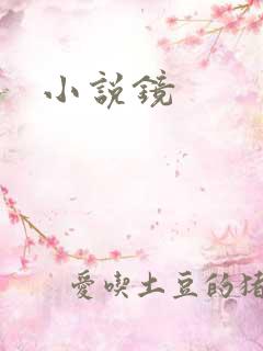 小说镜